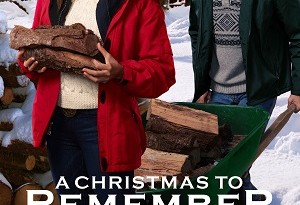 A Christmas to Remember (2016)