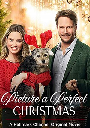 Picture a Perfect Christmas (2019)