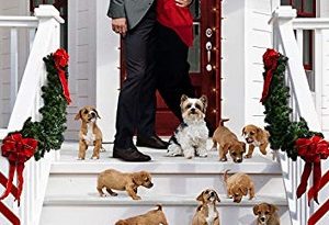 12 Pups of Christmas (2019)